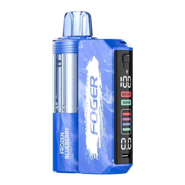 BUY 1 GET 1 FREE Frozen Blueberry FOGER Switch Pro Kit | Vape Amazon India