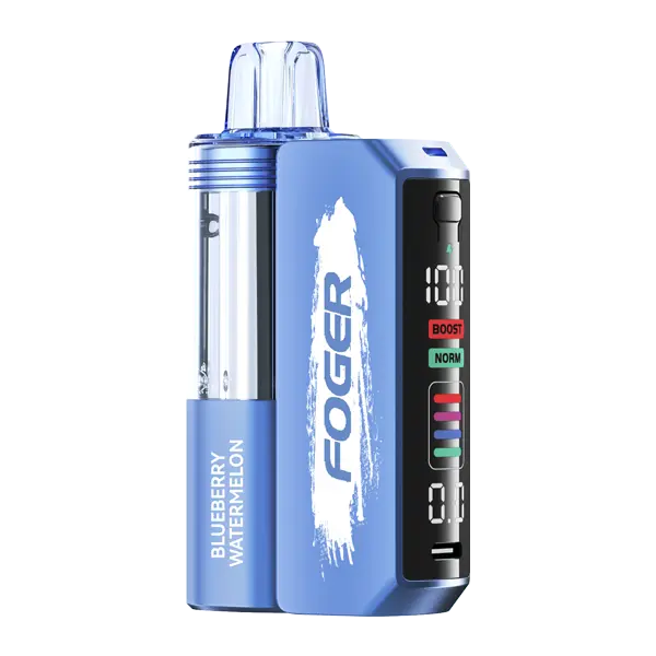 BUY 1 GET 1 FREE Blueberry Watermelon FOGER Switch Pro Kit | Vape Amazon India