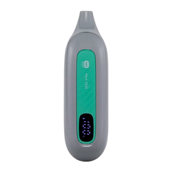 BUY 1 GET 1 FREE Mint Chill FLONQ Max Smart | Vape Amazon India Flonq